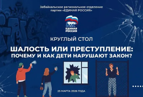Круглый стол на тему «Шалость или преступление: почему и как дети нарушают закон?»